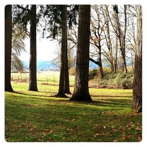 Meet your Posher, Letty